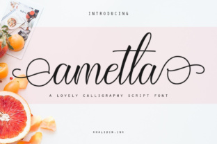 Ametta Script Font for Feminine Branding That Reads Clearly