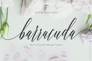 Barracuda Script: A Modern Handwritten Typeface for Elegant Branding