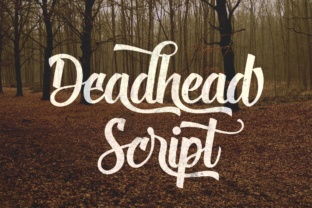 Deadhead Script: A Playful Brush Lettering Font for Handmade Creators