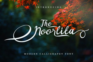 Noorlita Script Handwritten Font for Elegant Branding